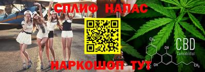 гидра Бузулук