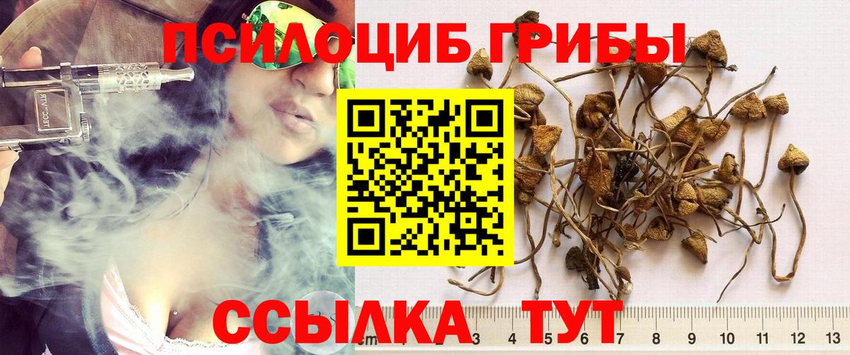 Галлюциногенные грибы ЛСД  Вход с VPN  Псилоцибиновые грибы прущие грибы  Урай 